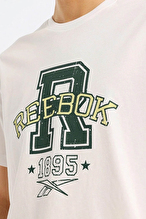 Reebok Erkek Tişört LC 6165