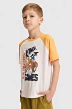 U.S Polo Assn. Erkek Çocuk Tişört PU-9577VR244