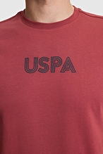 U.S. Polo Assn. Erkek Tişört PU-13433