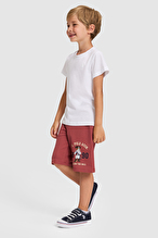 U.S Polo Assn. Erkek Çocuk Şort PU-10477VR223