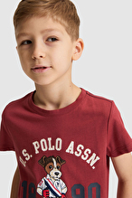 U.S Polo Assn. Erkek Çocuk Tişört PU-10420VR223