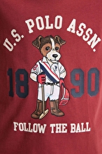 U.S Polo Assn. Erkek Çocuk Tişört PU-10420VR223