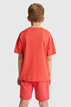 U.S Polo Assn. Erkek Çocuk Tişört PU-9562VR213