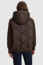 Pierre Cardin Kadın Mont 14543.VR029
