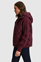 Pierre Cardin Kadın Mont 14543.VR014