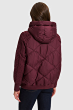 Pierre Cardin Kadın Mont 14543.VR014