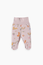 Kitikate Organik Cute Bunny 3'lü Patikli Pantolon S60921