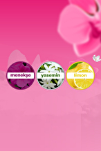Dalin Sprey Kolonya Çiçek Bahçesi 150 ml