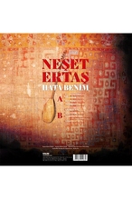 Neşer Ertaş - Hata Benim - Plak