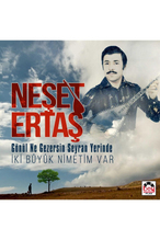 Neşet Ertaş Gönül Ne Gezersin Seyran Yerinde (Plak)
