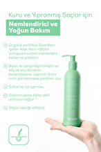 Tresan The Earth Şampuan Aloe Vera + Biotin Moisture and Intensive Care 250 ml