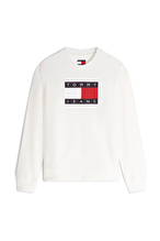Tommy Jeans Kadın Sweatshirt DW0DW22564