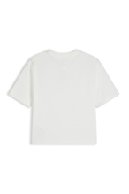 Tommy Jeans Kadın Tişört DW0DW22202