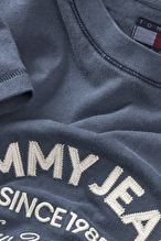 Tommy Jeans Erkek Tişört DM0DM22328