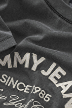 Tommy Jeans Erkek Tişört DM0DM22328