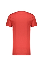 Calvin Klein Erkek 3'lü Tişört LV00NB40513SX