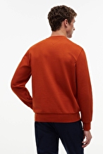 Tommy Hilfiger Erkek Sweatshirt MW0MW43218