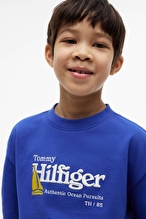Tommy Hilfiger Erkek Çocuk Tişört KB0KB10516
