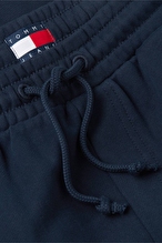 Tommy Hilfiger Jeans Erkek Şort DM0DM23407