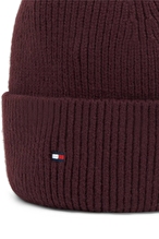 Tommy Hilfiger Kadın Bere AW0AW19102XIH