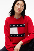 Tommy Jeans Kadın Kazak DW0DW23450