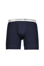 Tommy Hilfiger Erkek 3'lü Boxer 09TE001-410