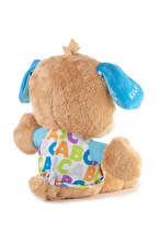 Fisher Price Eğlen & Öğren Yaşa Göre Gelişim Eğitici Köpekçik FPN79