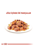 Royal Canin Hair&Skin Tüy ve Deri Sağlığı için Jöle İçerisinde Yaş Kedi Maması 85g