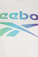 Reebok Kadın Tişört 100075397