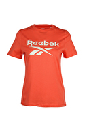 Reebok Kadın Tişört 100206169