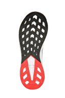 Reebok Zig Dynamica 5 Erkek Ayakkabı 100210036