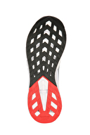 Reebok Zig Dynamica 5 Erkek Ayakkabı 100210036