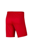 Nike Erkek Şort BV6855-657