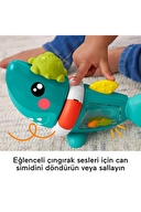 Fisher-Price Hareketli Köpekbalığı HJP01