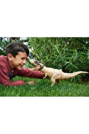 Jurassic World Gürleyen Görkemli T-Rex Figürü HNT62