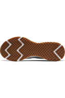 Nike Nıke Revolutıon 5 Prm Erkek Ayakkabı CV0159-019