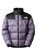 The North Face Erkek Kaz Tüyü Mont NF0A3Y23N141