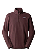 The North Face Erkek Polar NF0A855WI0I1