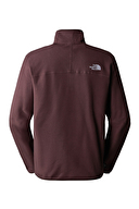 The North Face Erkek Polar NF0A855WI0I1