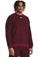 Under Armour Erkek Sweatshirt 1379756-600