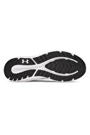 Under Armour Charged Pursuit 4 Erkek Ayakkabı 3028254-001