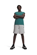 Under Armour Erkek Şort 6009345-011