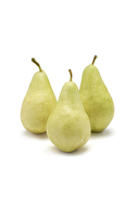 Armut Santa Maria Kg