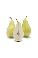 Armut Santa Maria Kg