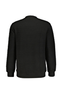 First Company Denim Erkek Sweat 2527108002