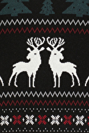 First Company Erkek Triko 2520110508