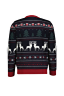 First Company Erkek Triko 2520110508