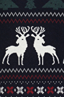 First Company Erkek Triko 2520110508