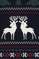 First Company Erkek Triko 2520110508