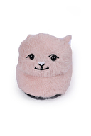 Wishoes Kadın Panduf 24KWS575Z-34012